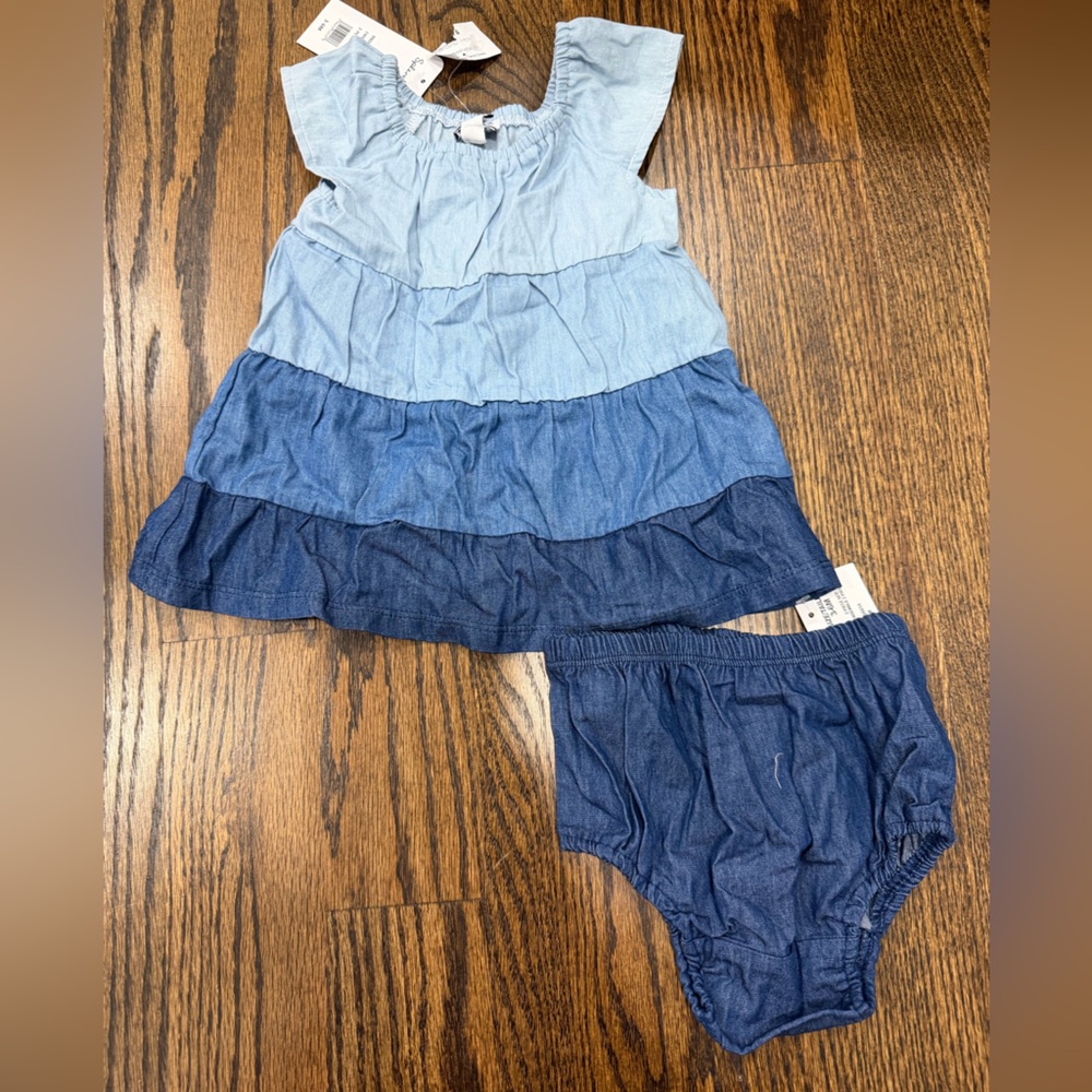 Splendid Baby Dress and Bloomers Set